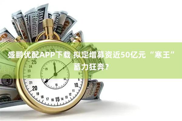 盛鹏优配APP下载 拟定增募资近50亿元 “寒王”蓄力狂奔?