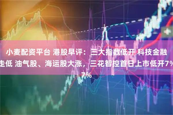 小麦配资平台 港股早评：三大指数低开 科技金融走低 油气股、海运股大涨，三花智控首日上市低开7%